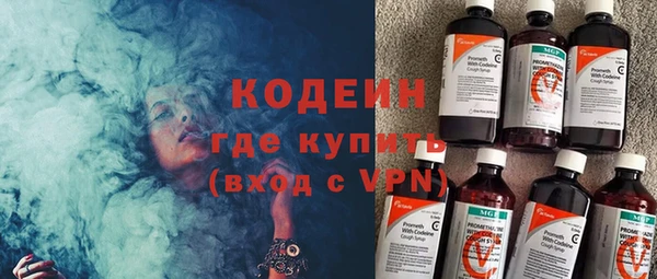 индика Нязепетровск