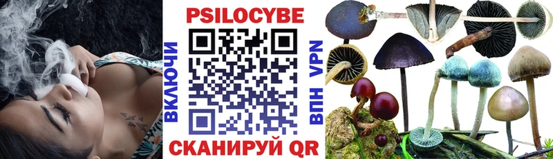 купить наркотики сайты  Приморско-Ахтарск  Псилоцибиновые грибы Magic Shrooms 