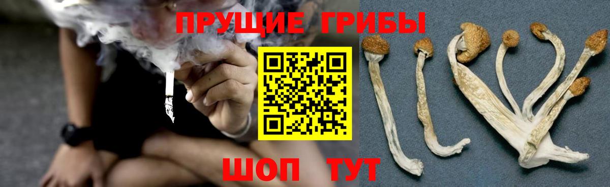 Меф мяу мяу Приморско-Ахтарск